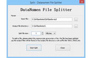 DataNumen File Splitter screenshot #0