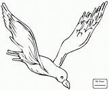 Seagull Drawing Flying Gull Coloring California Pages Getdrawings sketch template