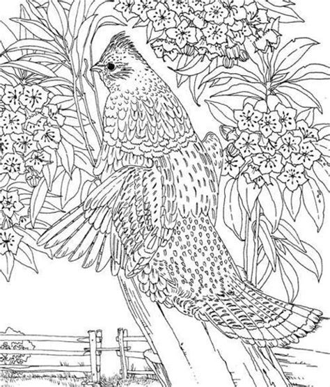 hard coloring page coloring book  coloring pages