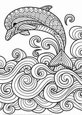 Zentangle Delfin Wellen Kategorien sketch template