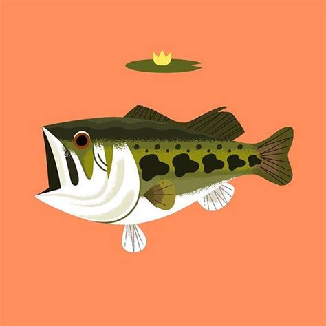 Reworked A Largemouth Bass Illustration I Did A Couple Months Ago With