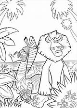 Madagascar Marty Coloring Pages Zebra Cartoon Alex Para Print sketch template