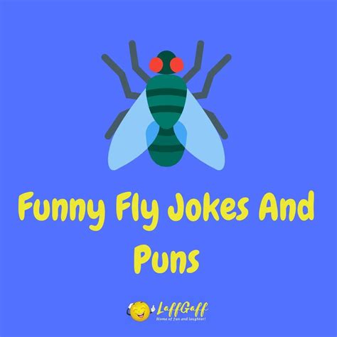 fantastic fly jokes  puns   create  buzz