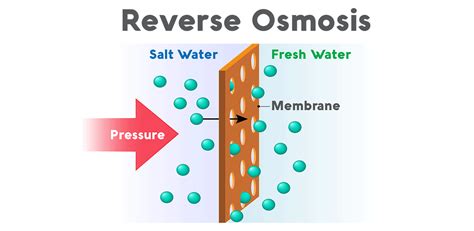 reverse osmosis system     work fresh water