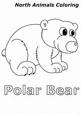 Animals Arctic Coloring Polar Cute Bear Baby Color sketch template