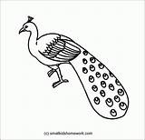 Peacock Outline Drawing Kids Coloring Clipart Bird Line Simple Color Paintingvalley Drawings Print Getdrawings Small Collection Explore Peacocks Library Facts sketch template