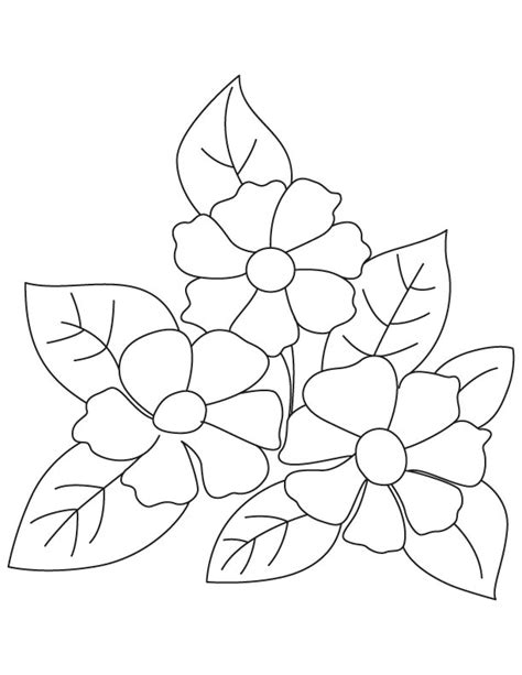 beautiful flower flower coloring pages  kids  kids network