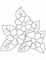 Coloring Camellia Small Flowers Pages Flower Kids Bestcoloringpages Colouring Motifs Embroidery sketch template