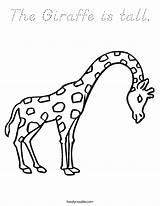 Giraffe Tall Coloring Built California Usa sketch template