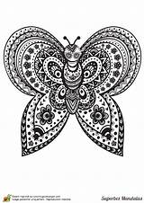 Papillon Hugolescargot Complexe Butterfly Superbes Adulte Abstract Colouring Butterflies Coloriages Une sketch template