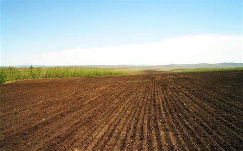 kazakhstan      million hectares  unused agricultural land  astana times