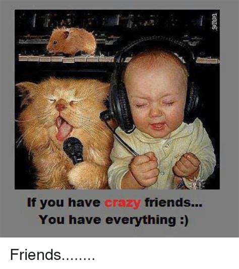 If You Have Crazy Friends You Have Everything Friends