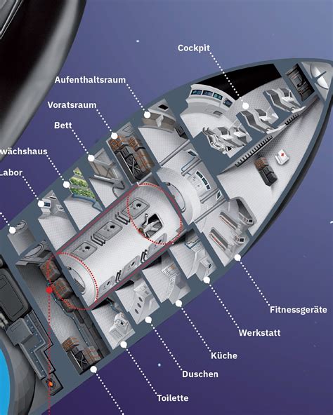 cutaway diagram  spacex starship human mars