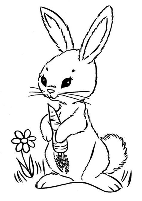 Free And Printable Rabbit Eating Carrot Coloring Picture