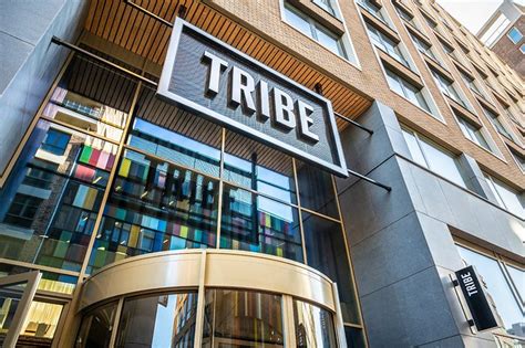 tribe amsterdam city au  prices reviews  netherlands