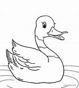 Duck sketch template