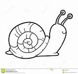 Snail Coloring Drawing Sea Book Realistic Vector Children Pages Colour Printable Color sketch template