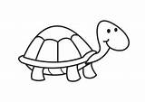 Turtle Coloring Large sketch template