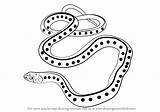 Snake Garter Drawing Draw Common Step Reptiles Simple Getdrawings Learn sketch template