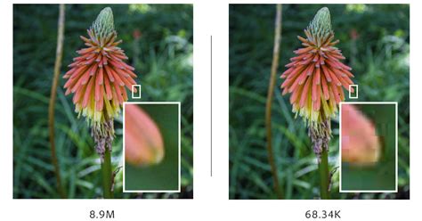 compress images  losing quality exceedcode