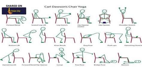 chair yoga moves  easy weight loss