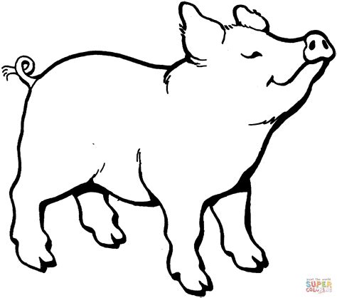 pig coloring pages  preschoolers coloring pages