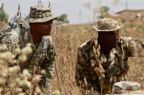 soldiers train nigerian army troops  department  defense
