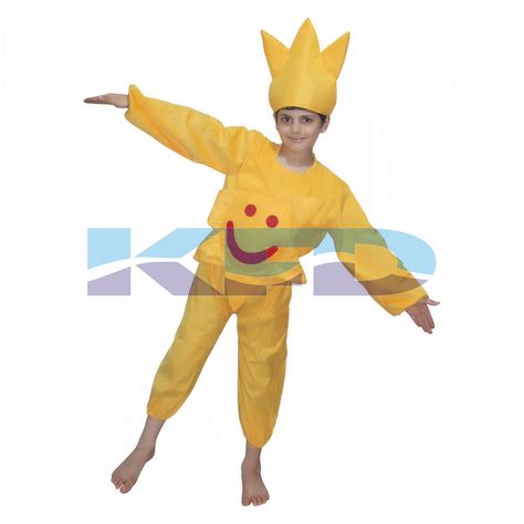 sun fancy dress  kidsnature costume  annual functiontheme party