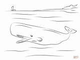 Whale Coloring Sperm Pages Cute Drawing sketch template