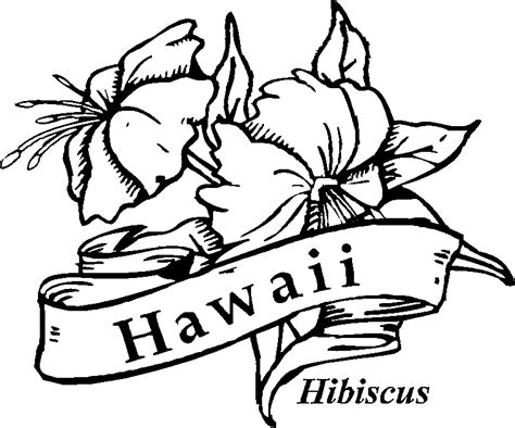 hawaiian flowers drawings   hawaiian flowers drawings