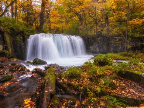 nature forest autumn amazing beauty waterfall landscape wallpapers hd desktop  mobile