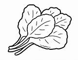 Greens Leafy Collard Lettuce Outline Drawings Drawingskill Foodhero Eggplant sketch template