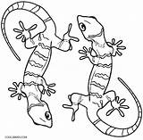 Lizard Coloring Pages Gecko Printable Kids Realistic Cute Geckos Frilled Color Sheets Cool2bkids Print Bestcoloringpagesforkids Desert Getcolorings Animal Two Preschool sketch template
