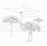 Legged Ostrich Realistic sketch template