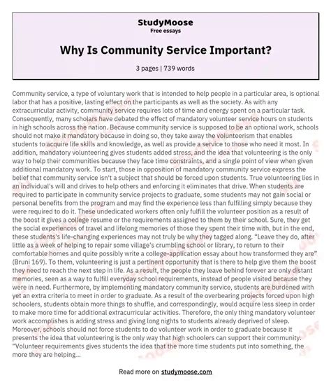 community service important  essay sample