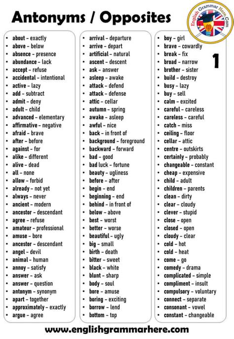 antonym  words definition  examples english grammar