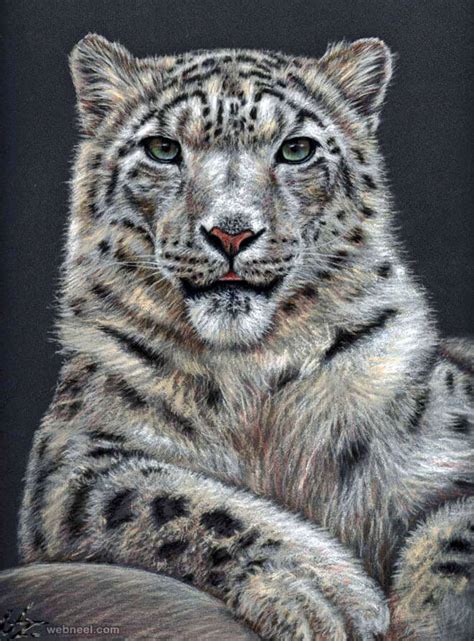 stunning drawings  animals   pencil  paper