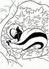 Skunk Coloring Pages Animal sketch template