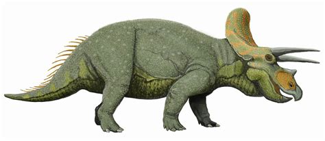 triceratops dinopedia fandom powered  wikia