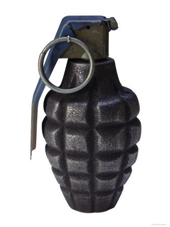 grenade brother  arms wiki