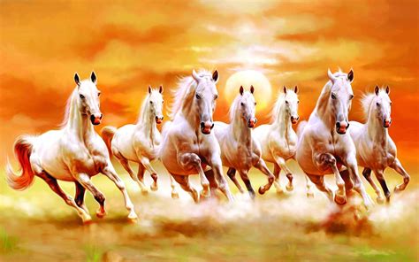 hd wallpaper   white horses   myweb