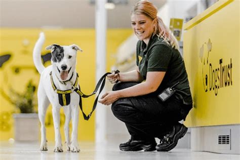 dogs trust grant  ppct funds kennel   rescue centre  wales