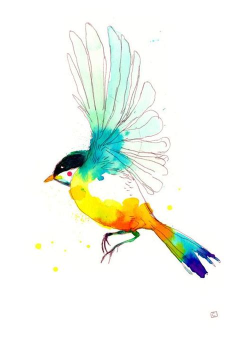 colorful bird drawing amazing  art pinterest colorful birds