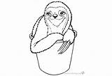 Sloth Coloring Pages Toed Three Bucket Printable Color Kids sketch template