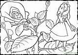 Coloring Alice Pages Wonderland Disney Getcolorings Printable Color sketch template