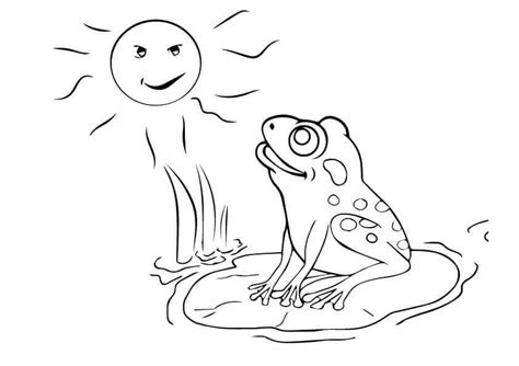 frog coloring pages printable