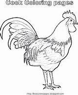 Cock Coloring Pages Chicken Printing Tutorial Bar Please Side Kids Get sketch template