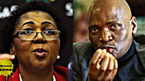 5 south african politicians who lied about their qualifications how