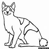 Bobtail Kolorowanki Koty Kotki Japoński Zwierzęta Thecolor sketch template