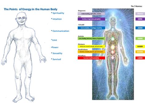 energy qhl    point  energy   human body